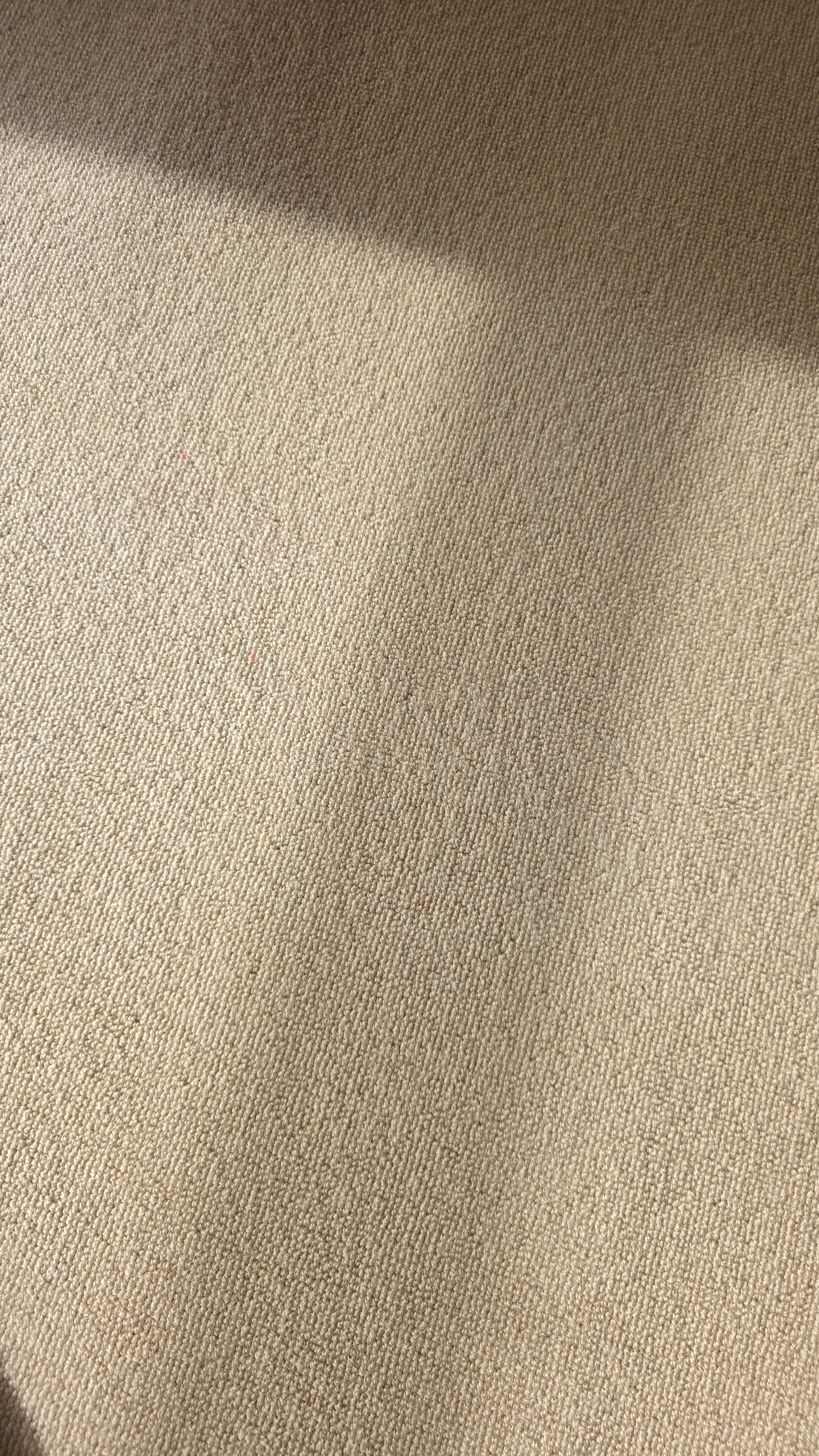 Carpet after