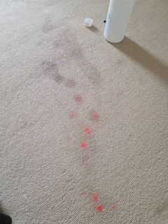 Carpet before