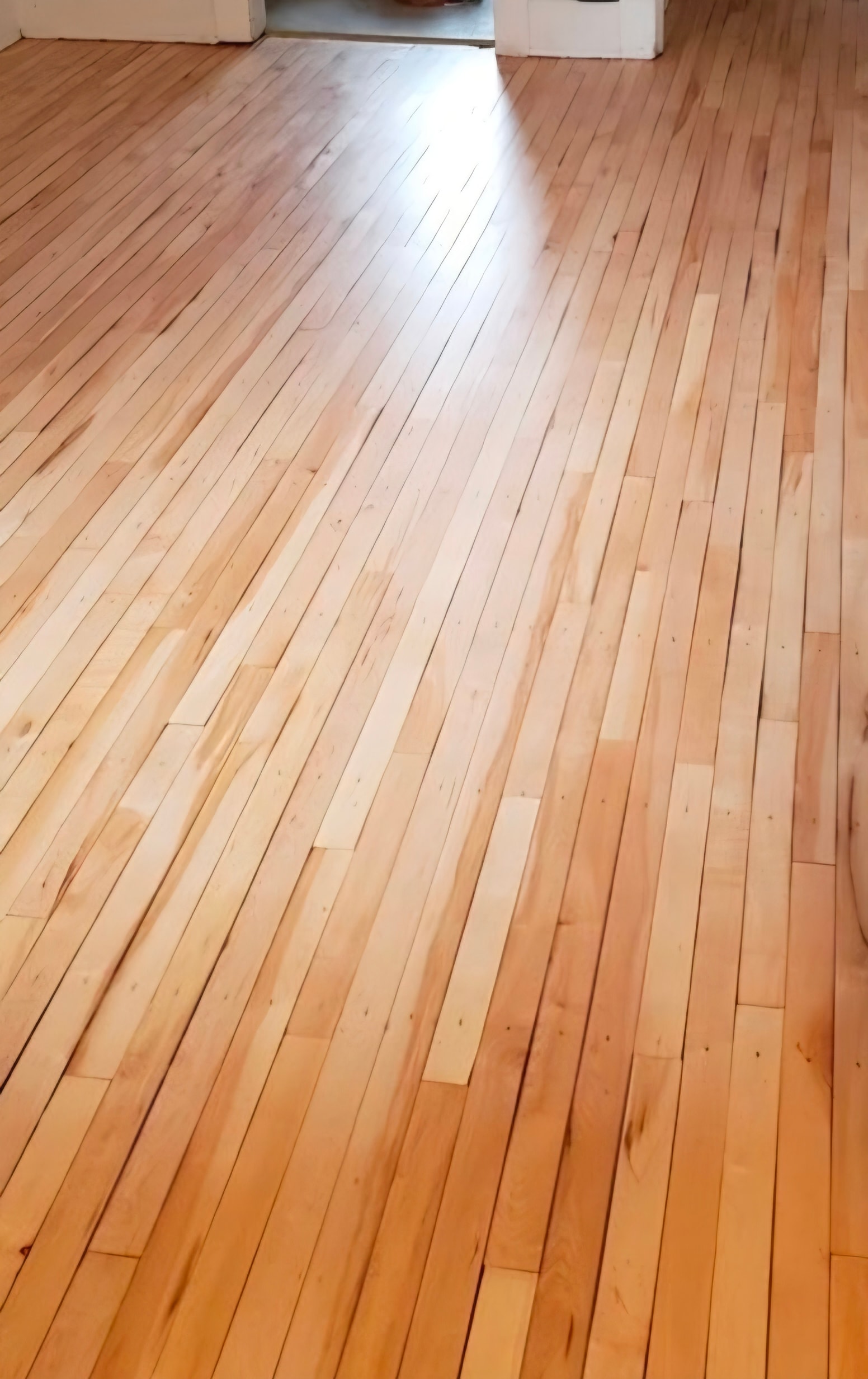 Hardwood Restoration after
